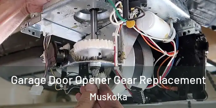 Garage Door Opener Gear Replacement Muskoka